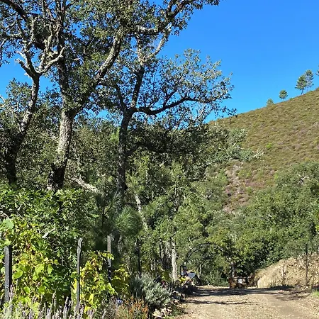 Дом отдыха Casa Margou Сан-Педру-ду-Сул