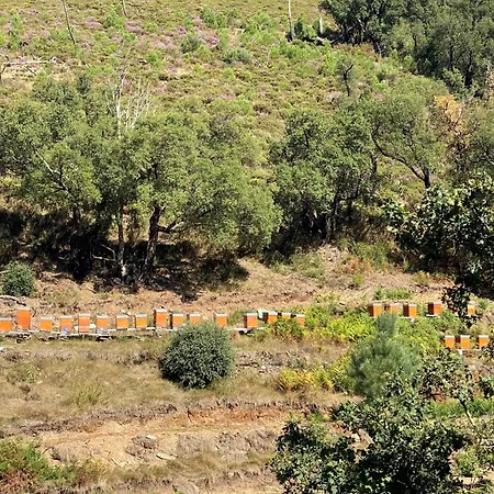 Casa Margou * Сан-Педру-ду-Сул