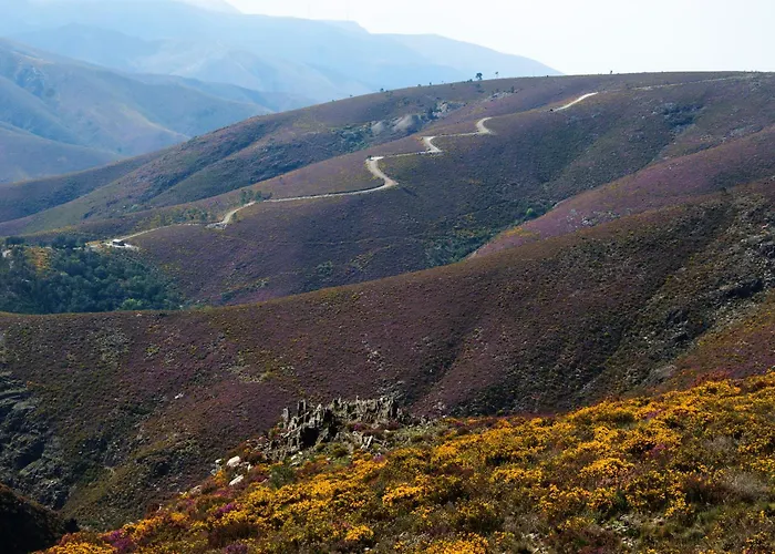 Feriehus Casa Margou *