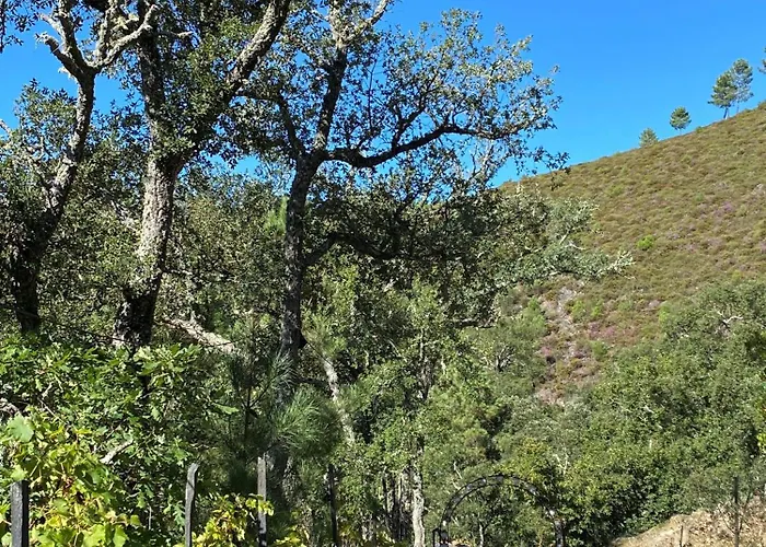 Feriehus Casa Margou São Pedro do Sul