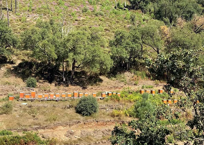 Casa Margou * São Pedro do Sul